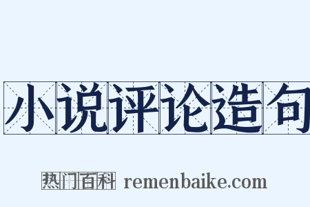 小说评论造句是什么意思的图片